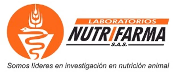 Empresa cliente 7